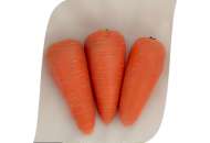 СВ3118ДH F1 - морковь (2,0-2,2), Семинис фото, цена